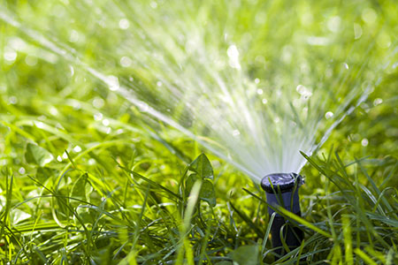 Lawn Water Sprinkler Spraying