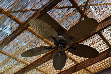 Tropical ceiling fan