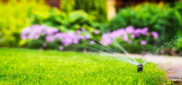 watering lawn