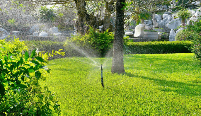 Watering Grass