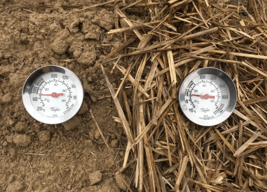 Checking Soil Temperature