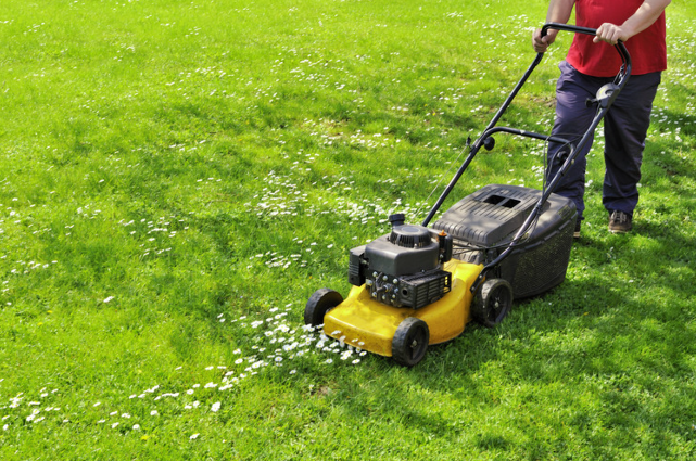 Mow the Lawn