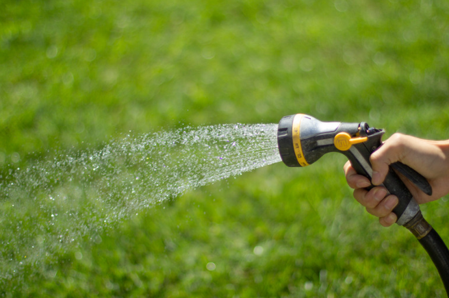 Watering the lawn